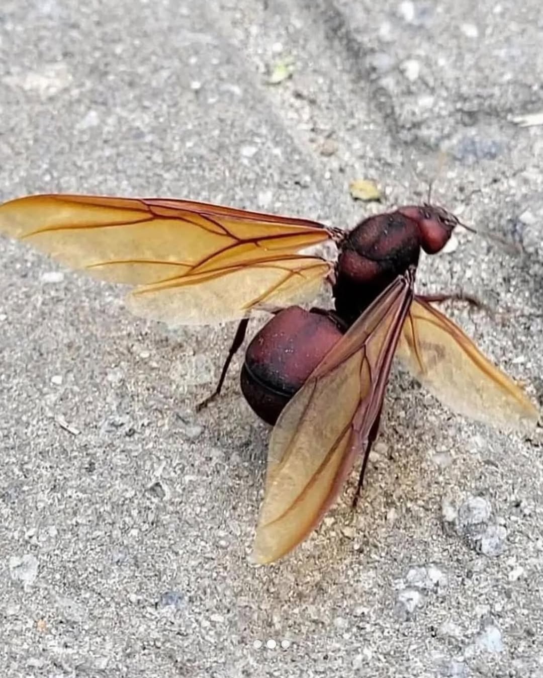 Pôr do Sol em Igarassu
