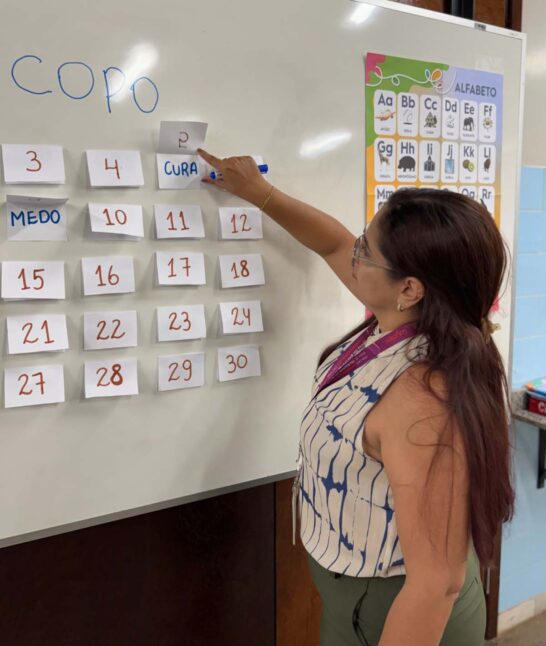 analfabetismo, educação no brasil, inclusão social