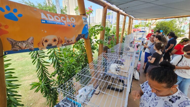 adoção de animais, cães e gatos, RioMar Recife, ONG Anjos do Poço, pets, doação de ração
