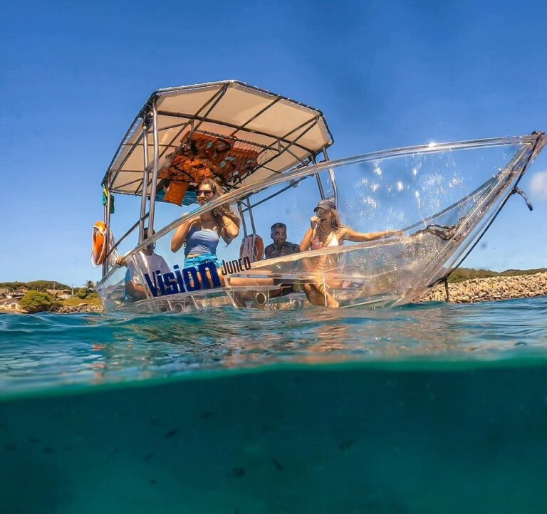 lancha acrílica, Fernando de Noronha, turismo acessível, Vision, vida marinha, passeios de barco