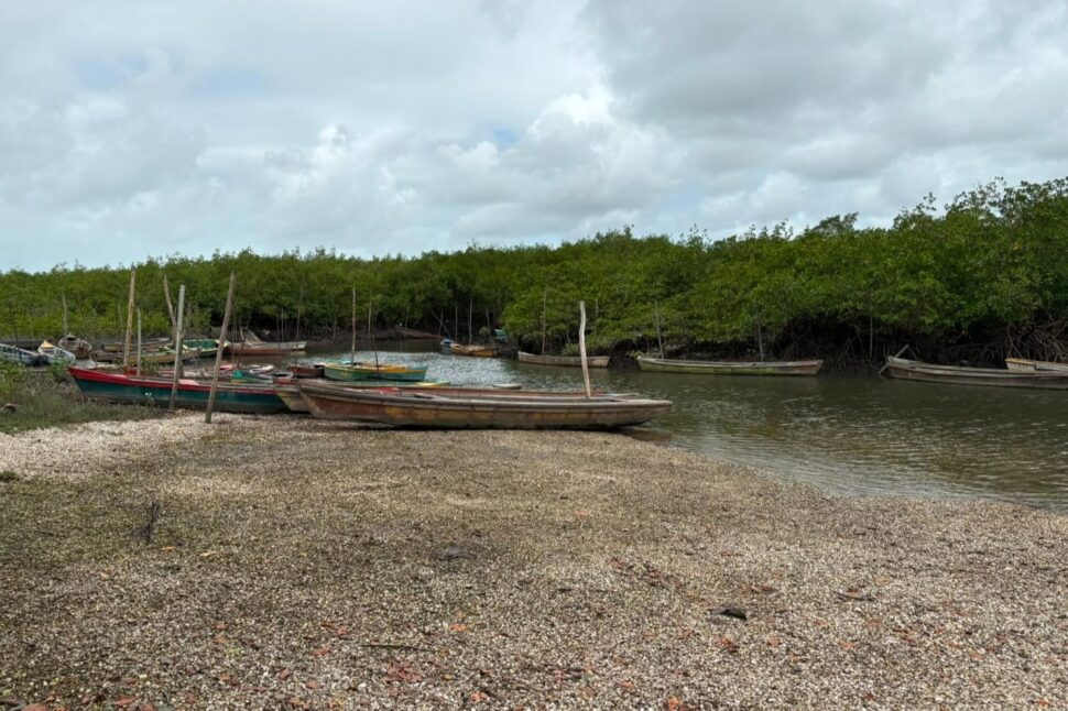 pesca artesanal, racismo ambiental, derramamento de petróleo, seminário Tamandaré, políticas públicas, saúde pesqueira