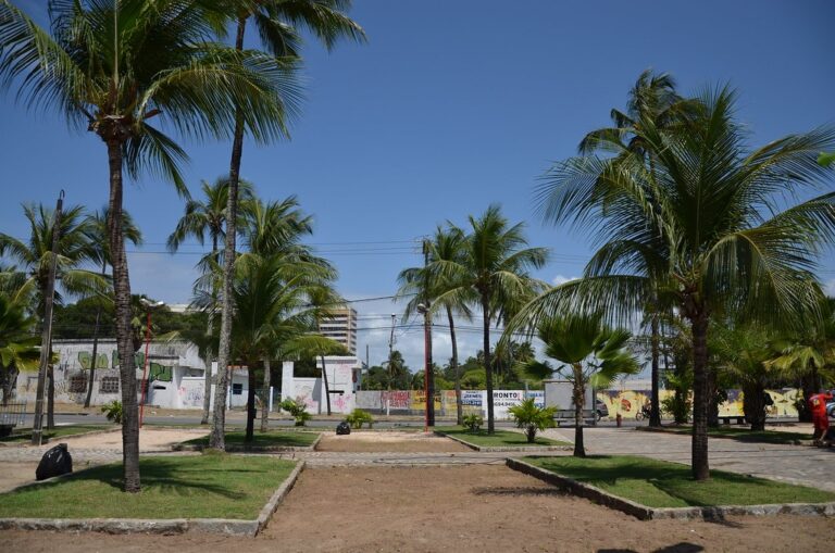 caminhada PET Olinda, proteção animal, bem-estar animal, Casa Caiada, maus-tratos animais, Secretaria de Proteção Animal