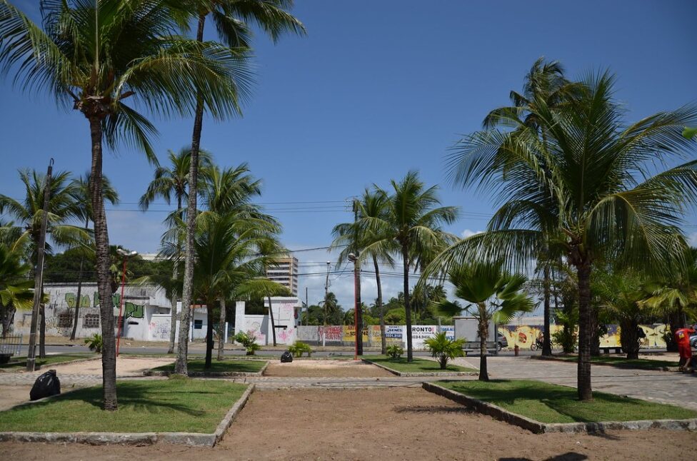 caminhada PET Olinda, proteção animal, bem-estar animal, Casa Caiada, maus-tratos animais, Secretaria de Proteção Animal