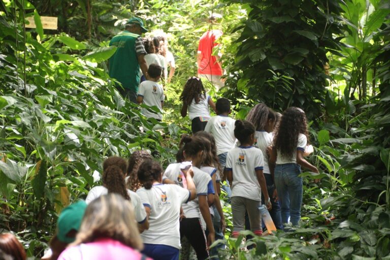 Mata do Passarinho, Dia das Crianças, Olinda, programação infantil, educação ambiental, atividades gratuitas