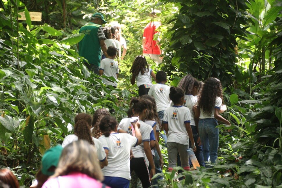 Mata do Passarinho, Dia das Crianças, Olinda, programação infantil, educação ambiental, atividades gratuitas