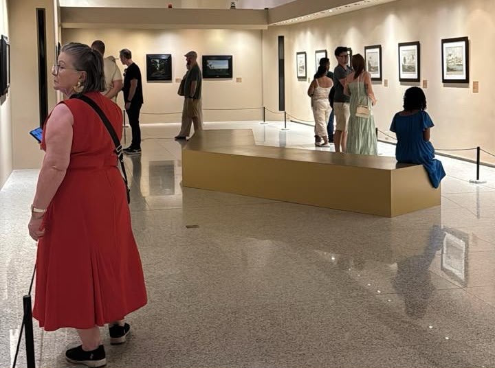 visitação gratuita, Instituto Ricardo Brennand, exposição Degas Borges, cultura Recife, IRB, Várzea, museu gratuito